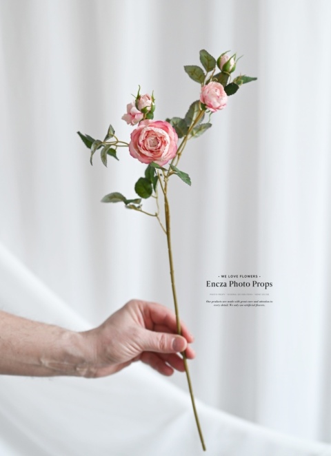 English Roses - MAUVE PINK - 30 pieces