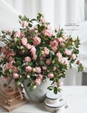English Roses - MAUVE PINK - 30 pieces