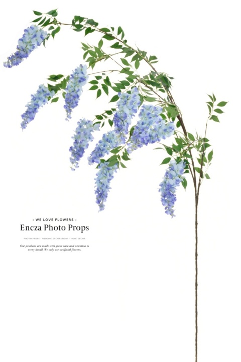 Wisteria BIG - 6 gałęzi luzem