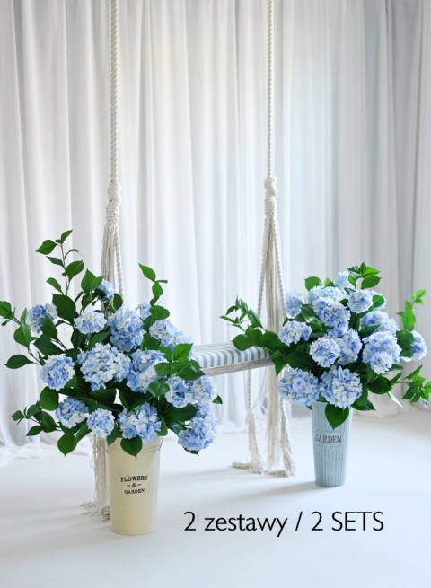 Hortensja XXL - 6 sztuk - 120 cm