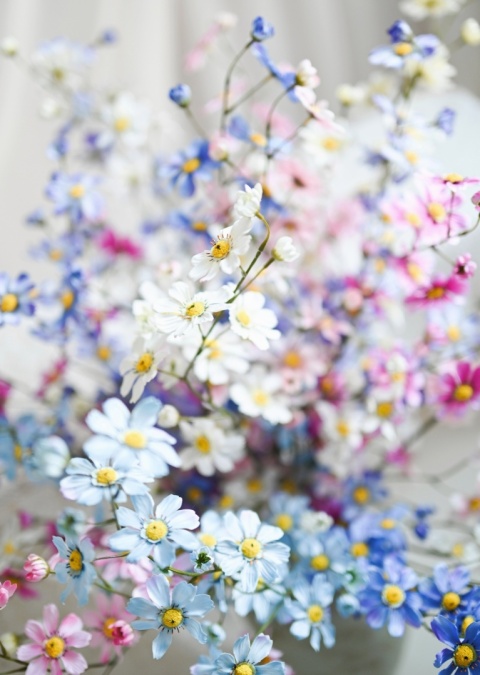 Warszawianka - 18 gałązek - 125 cm