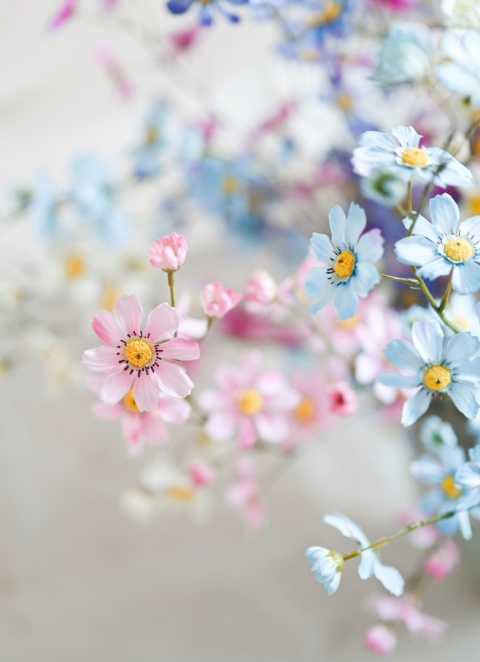 Warszawianka - 18 gałązek - 125 cm