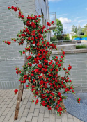 Rose branch - RED - 200 cm